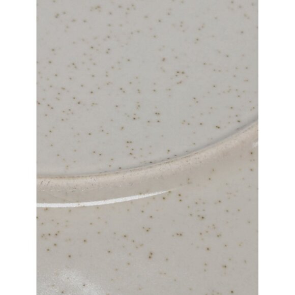 Imperial W. Dalton Stoneware Dinner Plates Set of 2 Speckled Tangerine Vintage - Picture 6 of 8